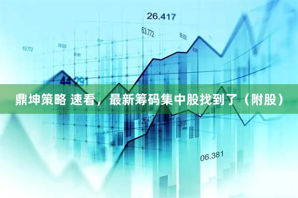 鼎坤策略 速看，最新筹码集中股找到了（附股）