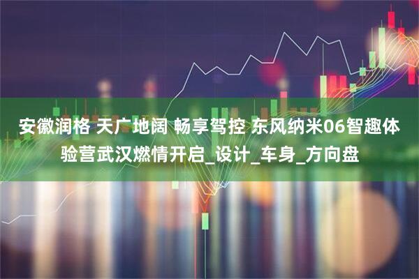 安徽润格 天广地阔 畅享驾控 东风纳米06智趣体验营武汉燃情开启_设计_车身_方向盘
