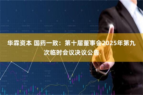 华霖资本 国药一致：第十届董事会2025年第九次临时会议决议公告