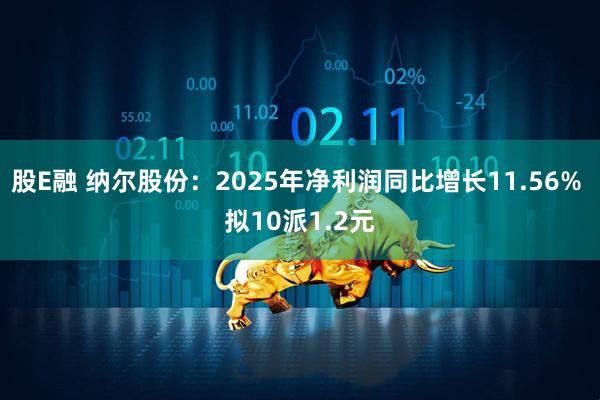 股E融 纳尔股份：2025年净利润同比增长11.56% 拟10派1.2元